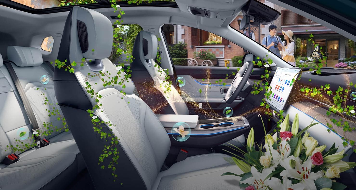 Dashing-interior-12